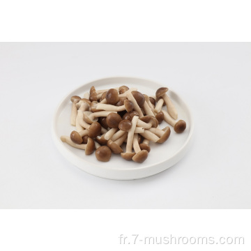 Frozen Fresh Cut Beech Mushroom-150G